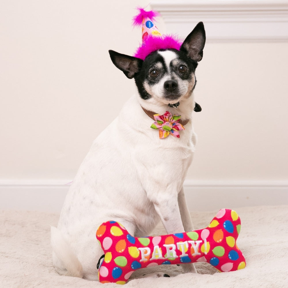 Party Time Pinwheel