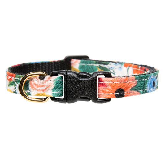 The Pathfinder Collar + Matching Removable Bow Tie