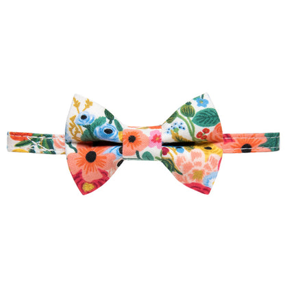The Pathfinder Collar + Matching Removable Bow Tie