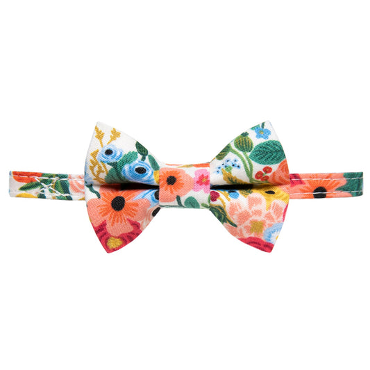 The Pathfinder Collar + Matching Removable Bow Tie
