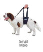 GingerLead- Dog Support & Rehabilitation Harnesses