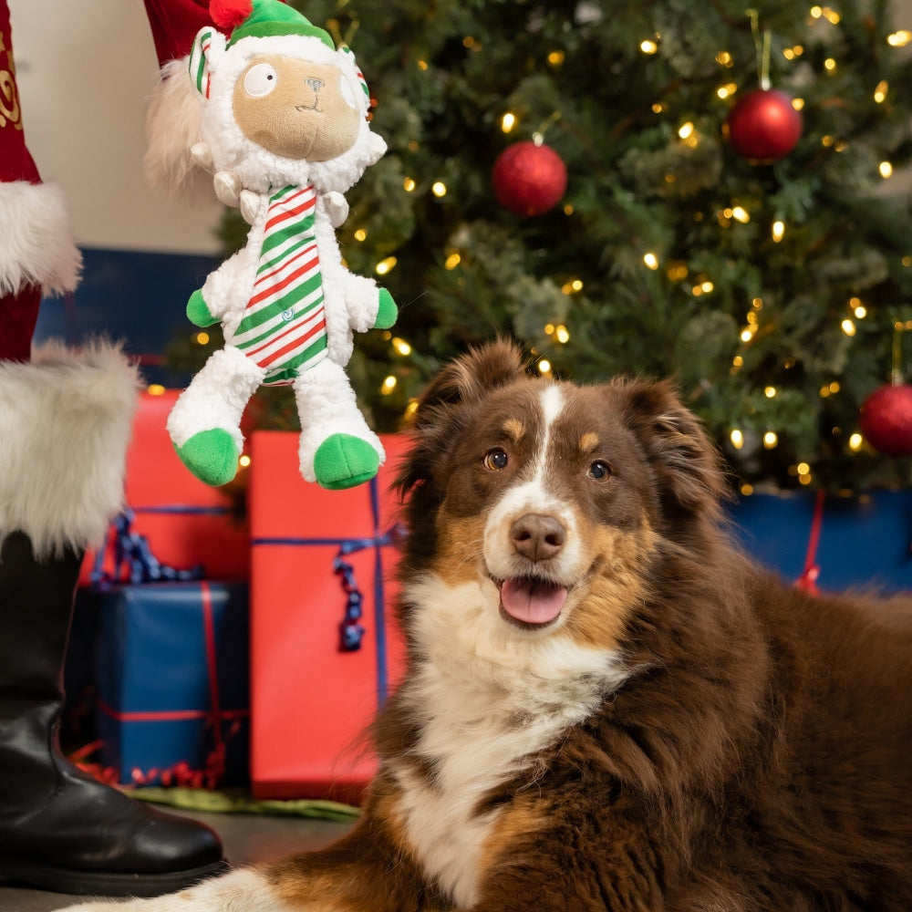 Slappies® Peppermint Llama Dog Toy