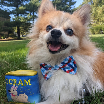 Picnic Check Bow Tie