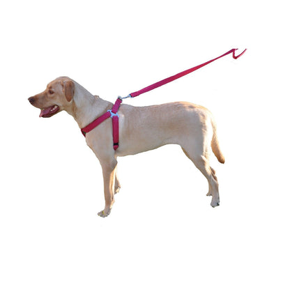 Comfort Microfiber Flat Dog Step-In Harness