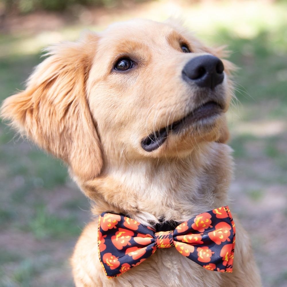 Plaid-O-Lantern Bow Tie