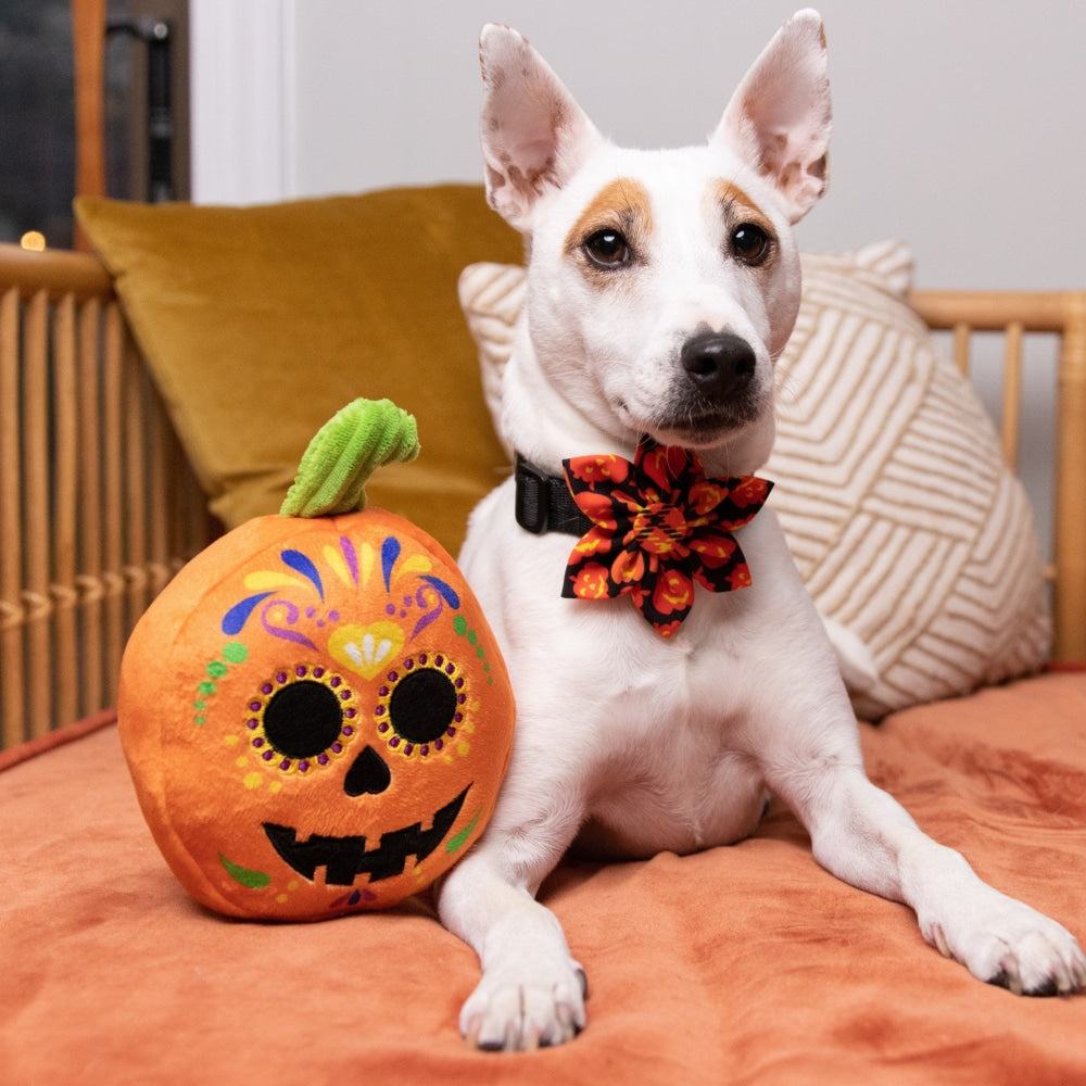 Plaid-O-Lantern Pinwheel