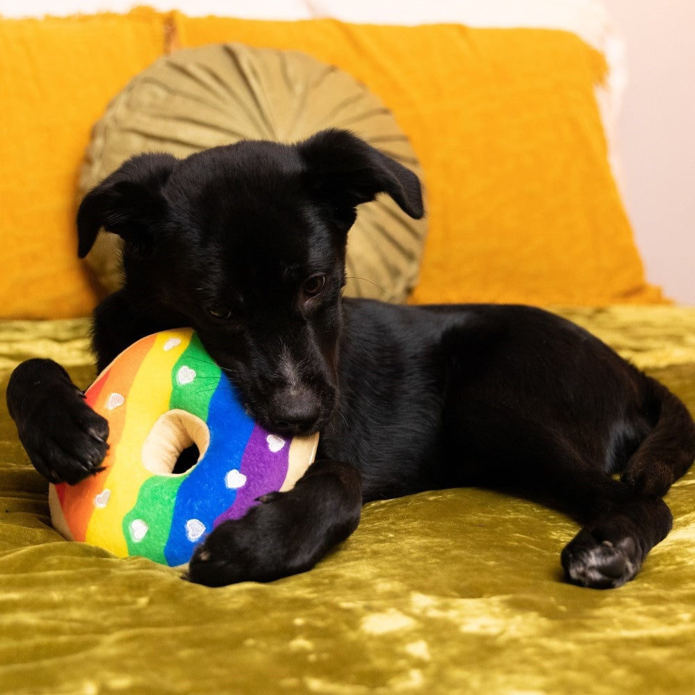 Pride Donut Dog Toy - 30% Off