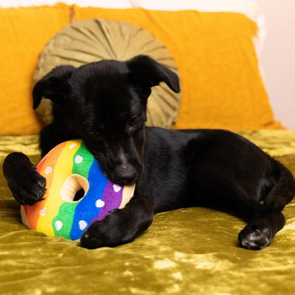 Pride Donut Dog Toy - 30% Off