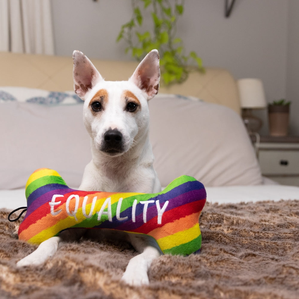 Pride Equality Bone Dog Toy