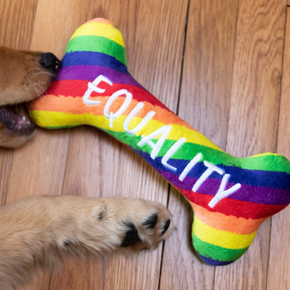Pride Equality Bone Dog Toy