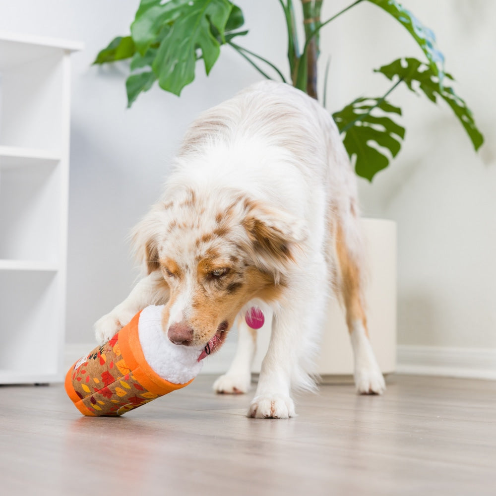 Puggin Spice Latte Dog Toy (Double Sided)