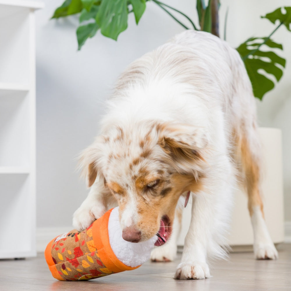 Puggin Spice Latte Dog Toy (Double Sided)