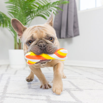 Tiny Tuff Pumpkin Treats 2pk