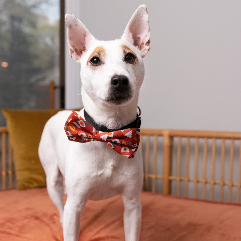 Pupkin Latte Bow Tie