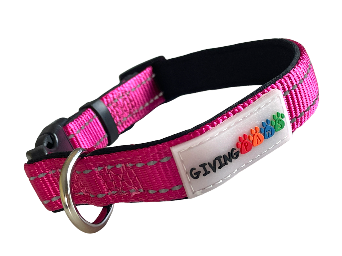 Neoprene Padded Nylon Dog Collar
