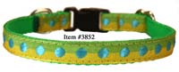 Pocket Pups - Ribbon Collars (Dots)