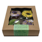 Spring Donut Box (Spring)