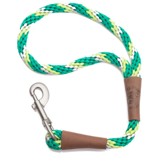 Snap Leashes - Tri-Color Series