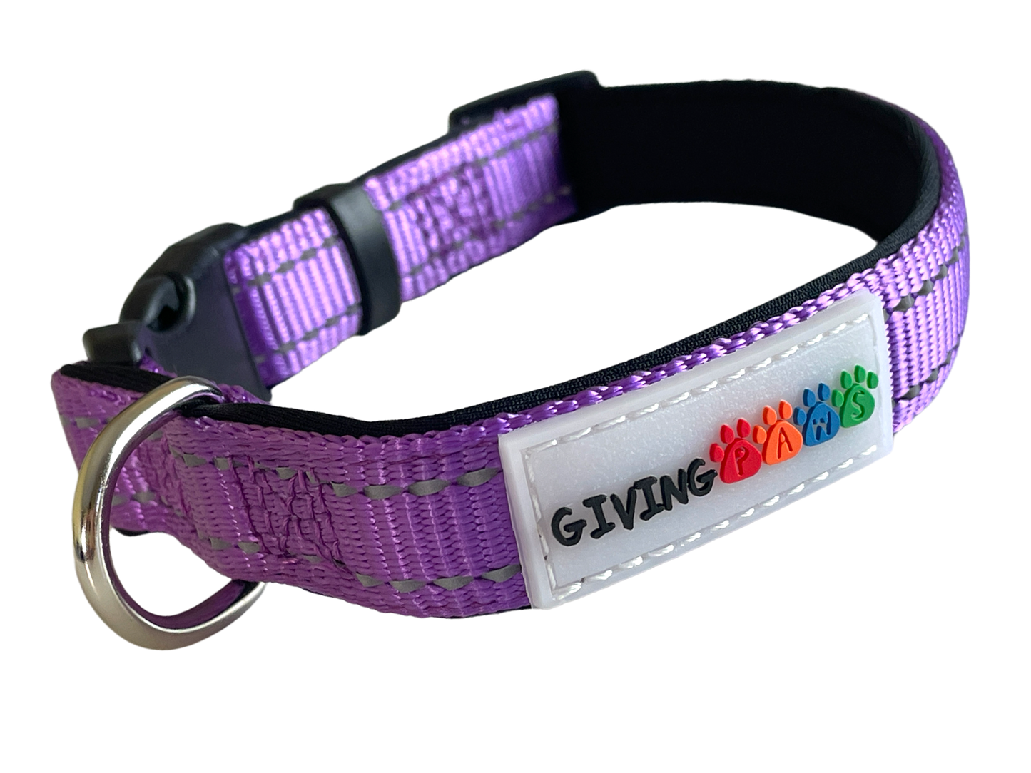 Neoprene Padded Nylon Dog Collar