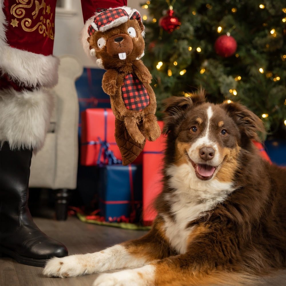 Slappies® Ralphie Beaver Dog Toy