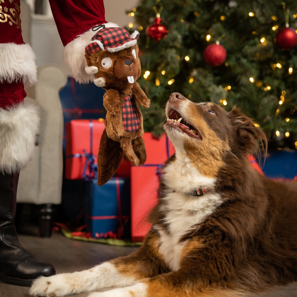 Slappies® Ralphie Beaver Dog Toy