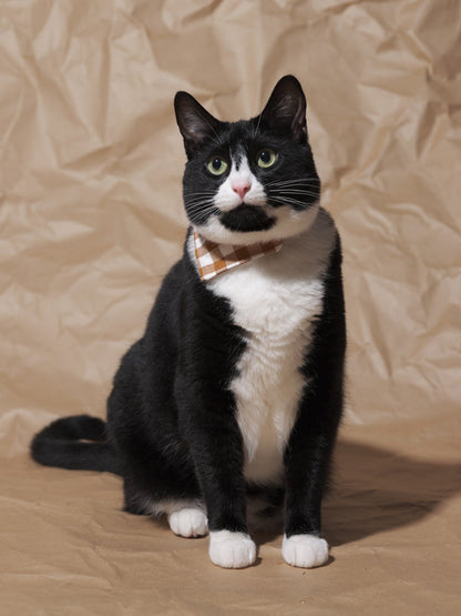 The All Checked Out - Cat Bandana