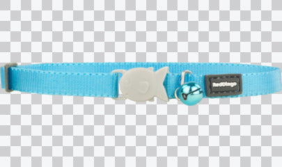 Kitten Collars - Classic