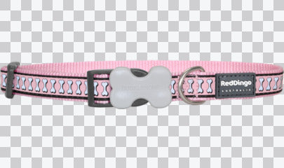 Buckle Bone Dog Collars - Reflective