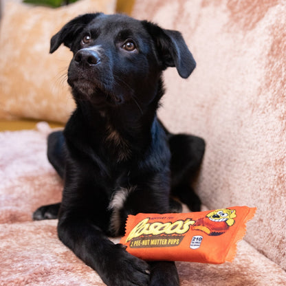 Rosco's Pee-Nut Mutter Pups Dog Toy