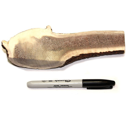 Royal Brown Deer Antler - Large Split - EACH
