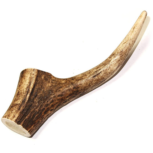 Royal Brown Deer Antler - Small Whole- EACH