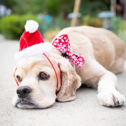Santa Hat with SnugFit®