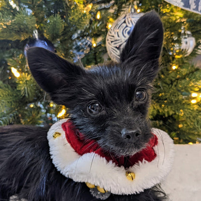 Santa Red Ruff