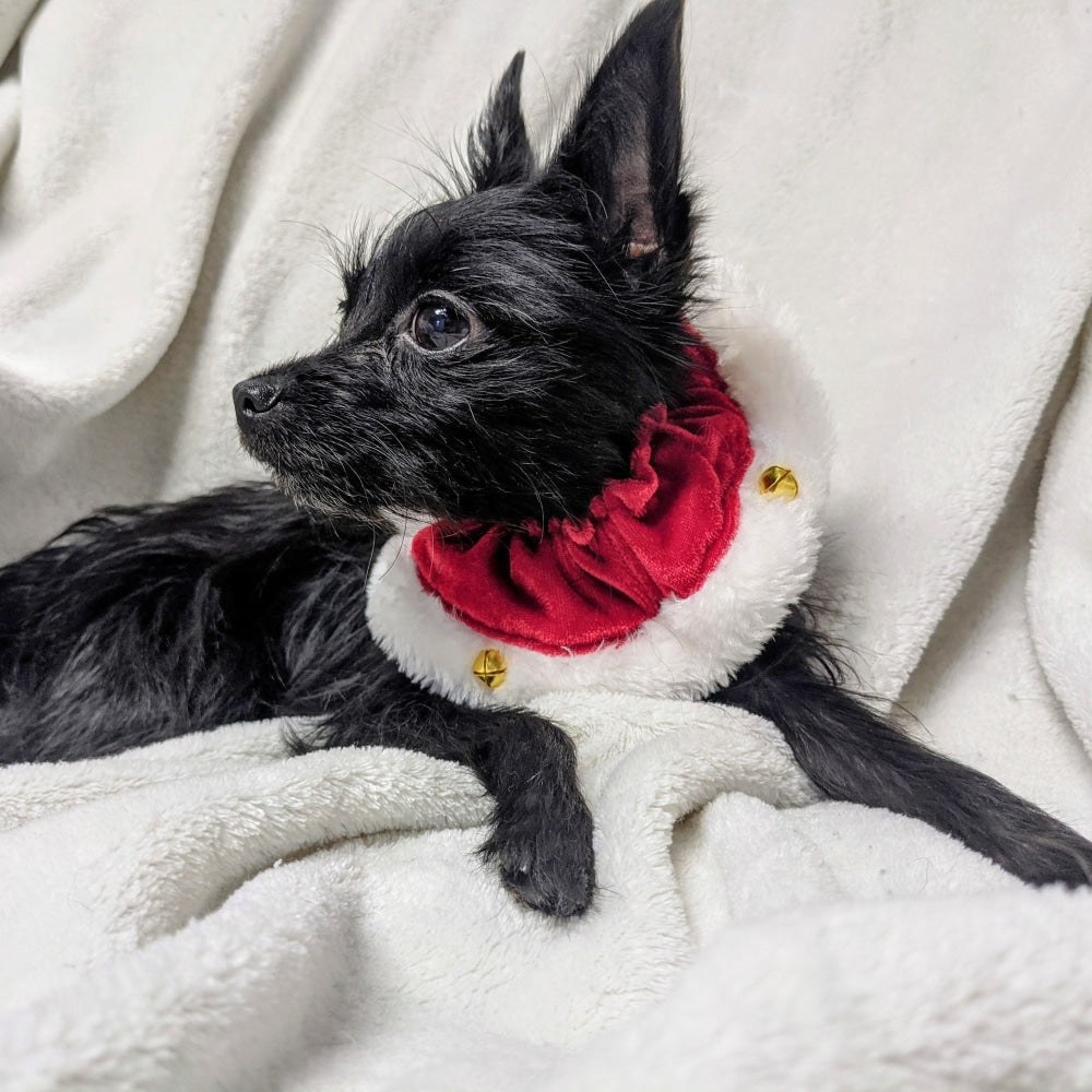 Santa Red Ruff