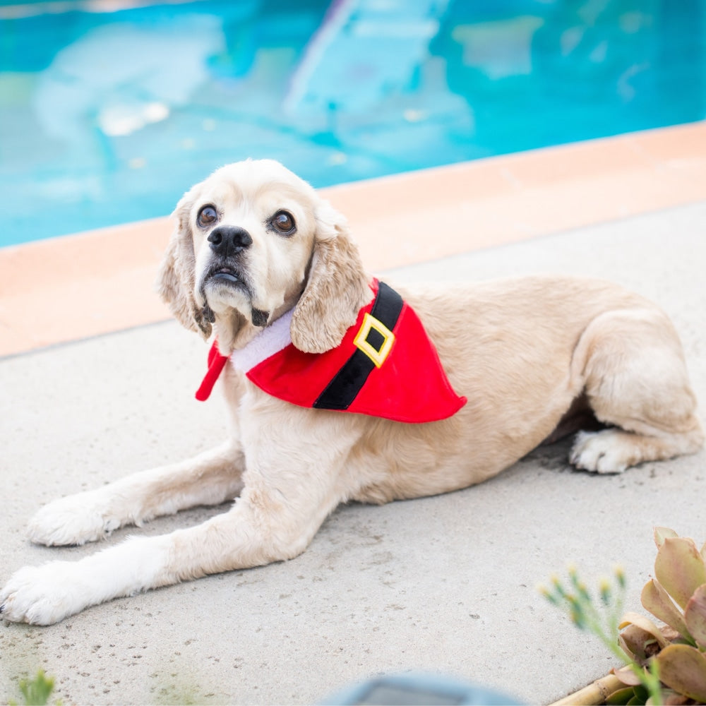 Santa's Suit Bandana - 30% Off