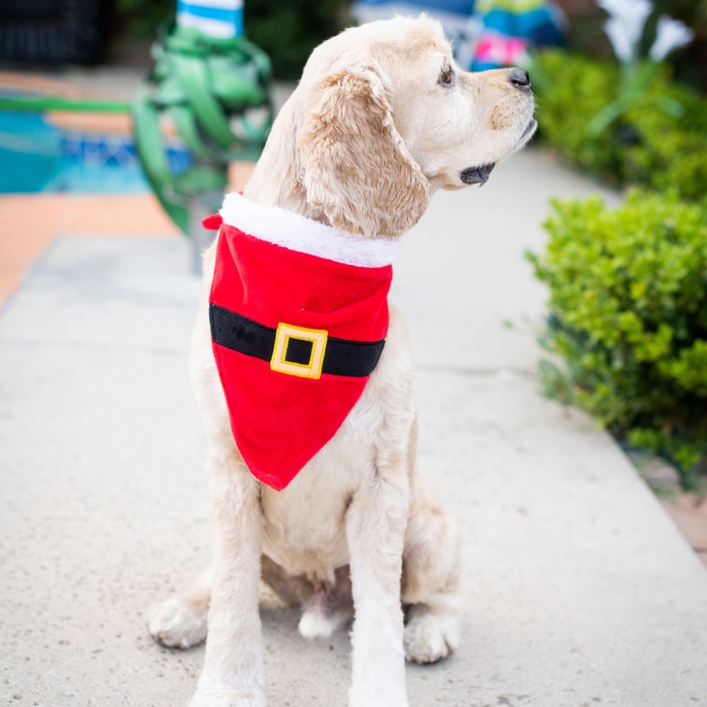 Santa's Suit Bandana - 30% Off
