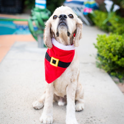 Santa's Suit Bandana - 30% Off