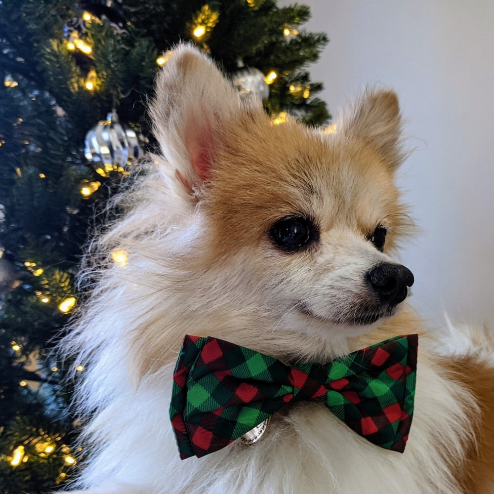 Scottish Check Bow Tie