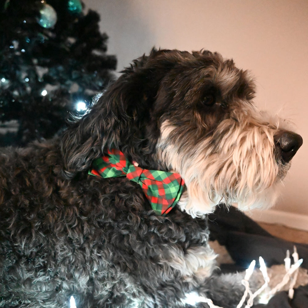 Scottish Check Bow Tie