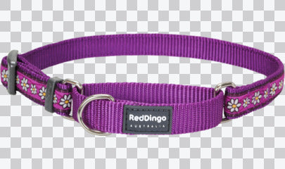Martingale Dog Collars - Design