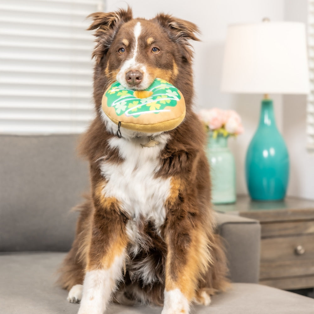 Shamrock Donut Dog Toy - 30% Off