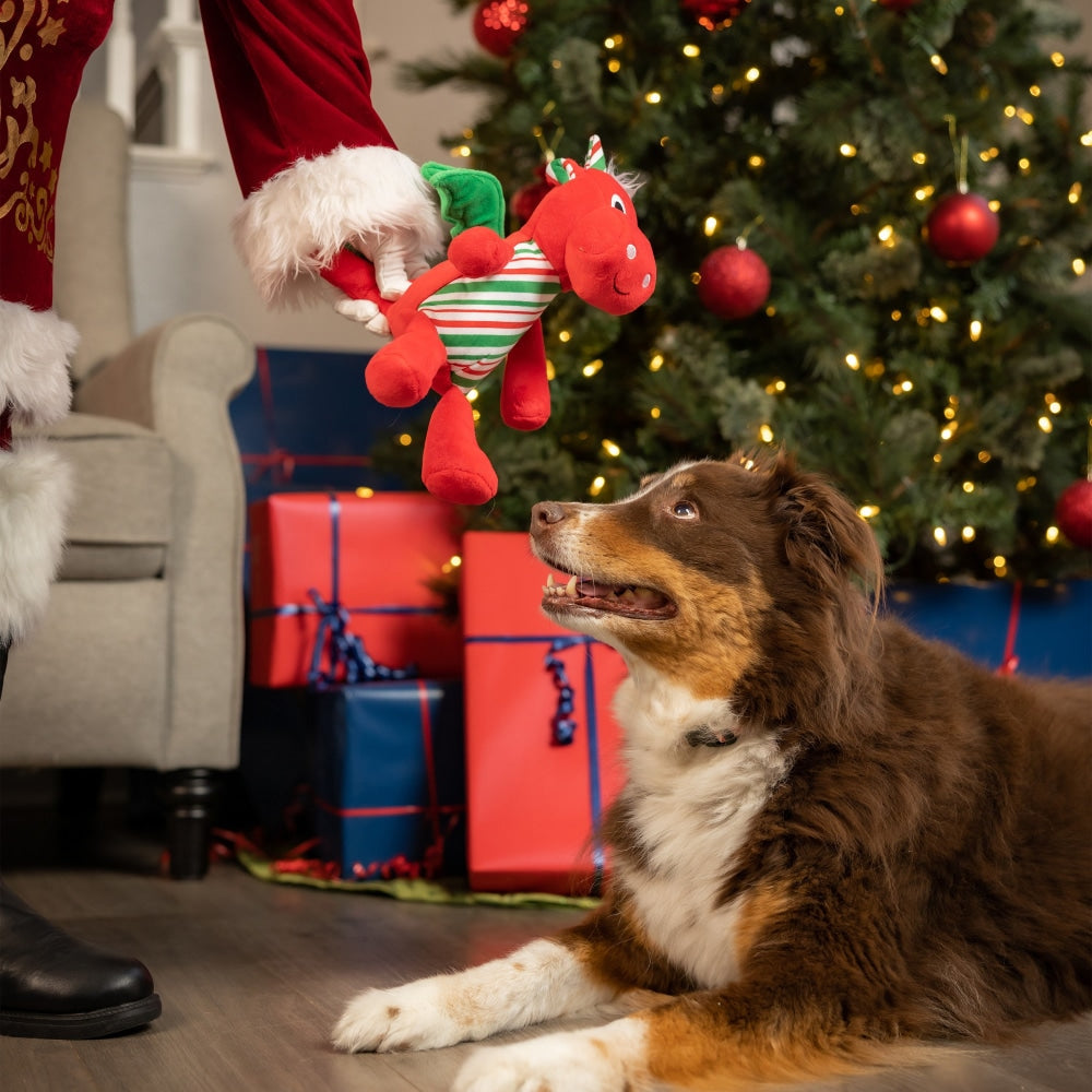 Snowball Dragon Dog Toy