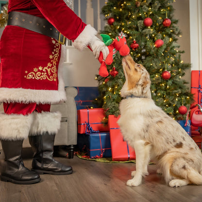 Snowball Dragon Dog Toy