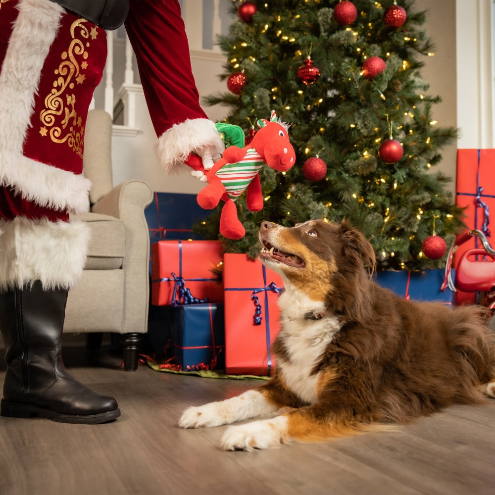 Snowball Dragon Dog Toy