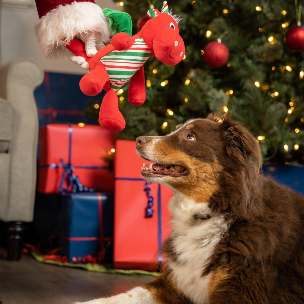 Snowball Dragon Dog Toy