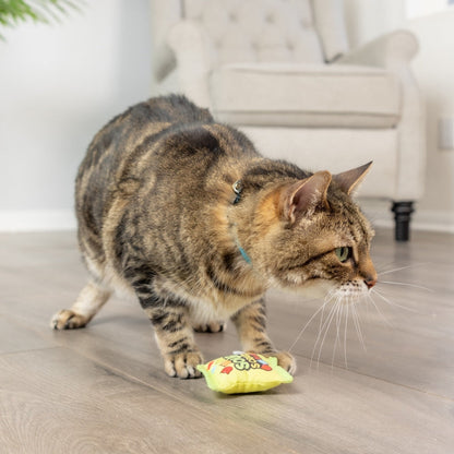 Sour Scratch Kats Cat Toy