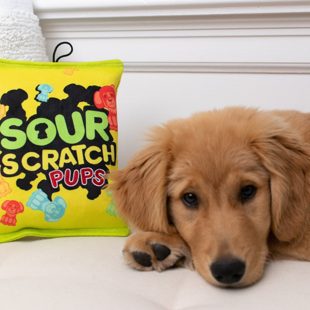 Sour Scratch Pups Dog Toy (Double Sided)