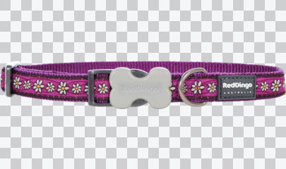 Buckle Bone Dog Collars - Design - Daisy Chain