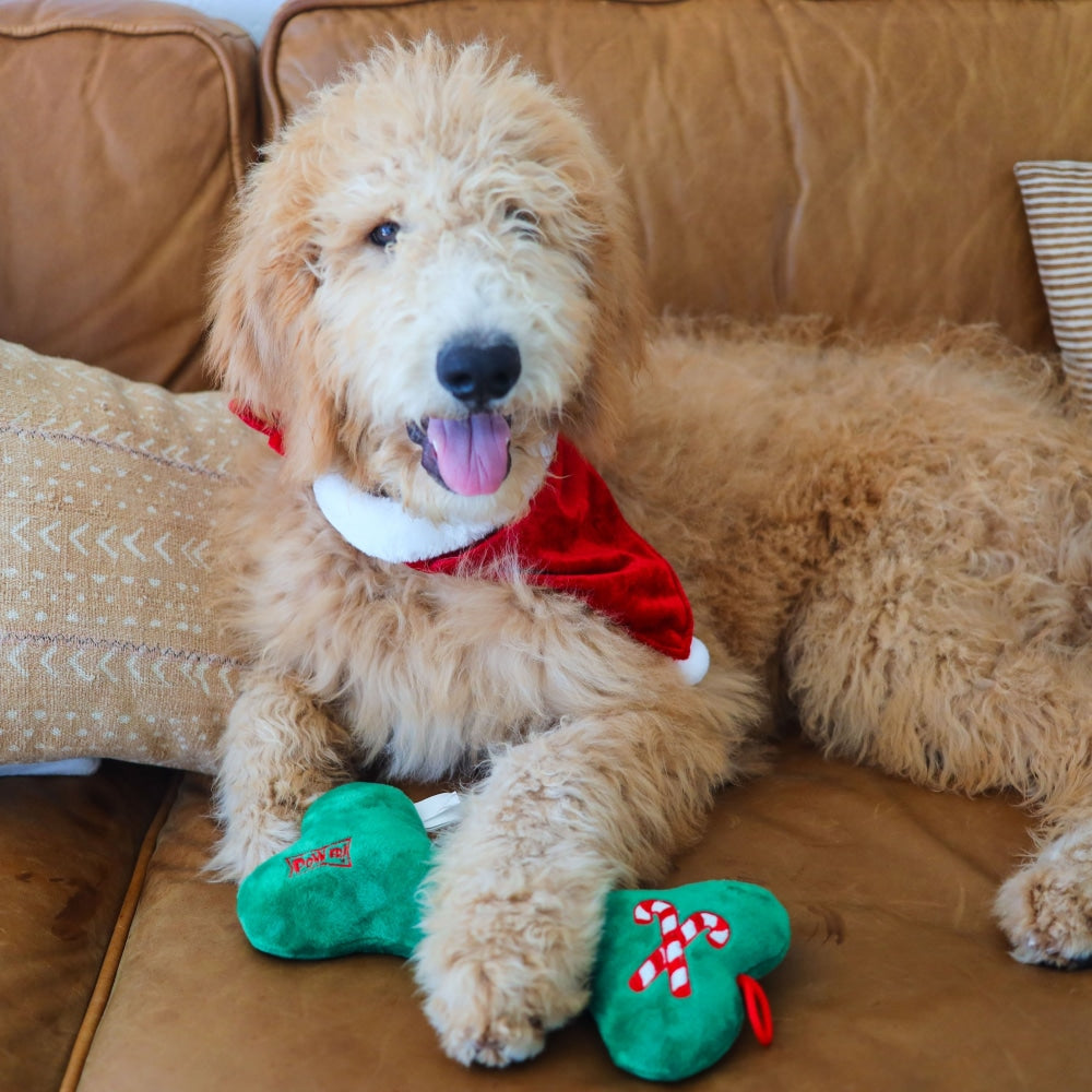 St Nick Bandana