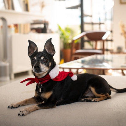 St Nick Bandana